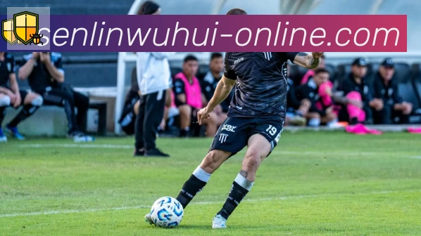 森林舞会官网棋牌发展历程